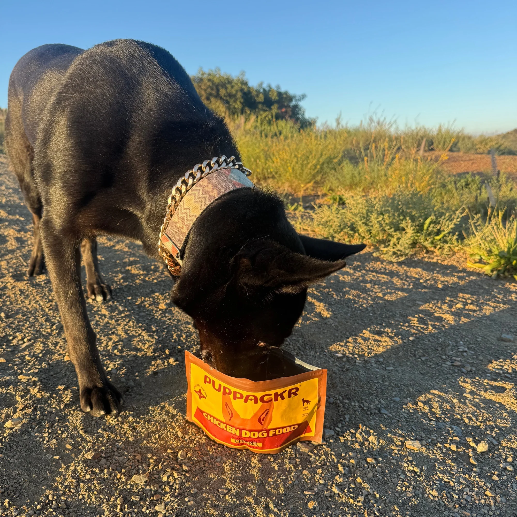 Chicken Dog Food by PUPPACKR - Image 4